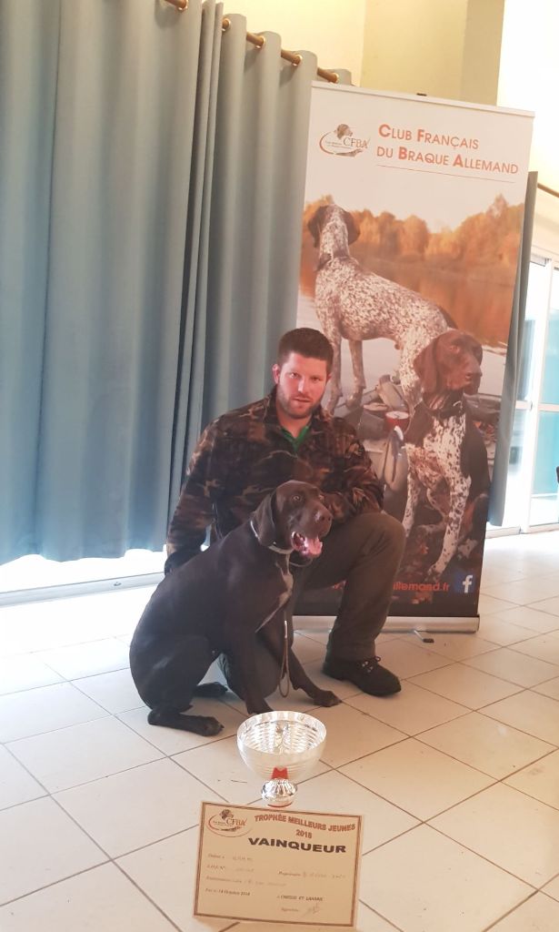 Du val de peyras - Nampo vainqueur de la finale des jeunes chiens 2018